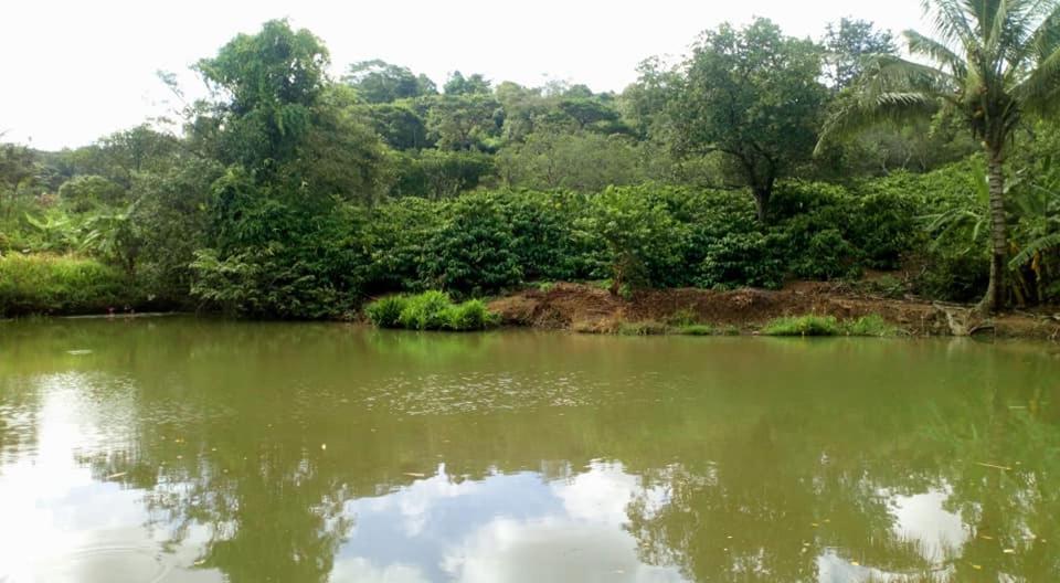Happy Homestay Buôn Ma Thuột Dış mekan fotoğraf