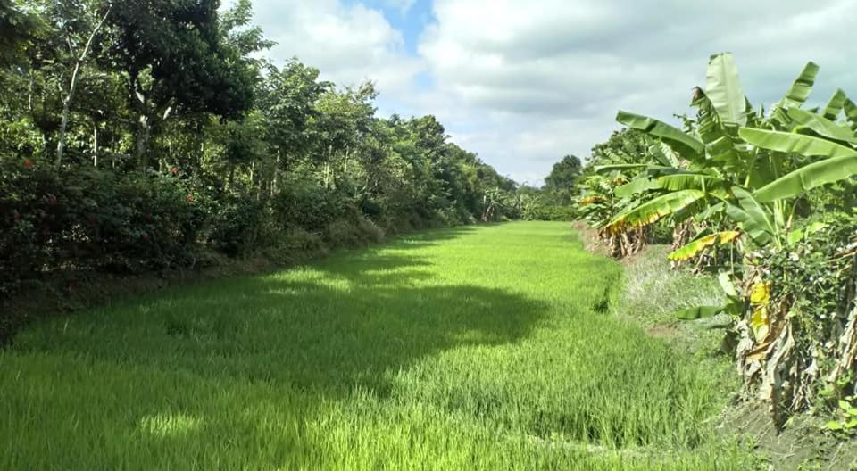 Happy Homestay Buôn Ma Thuột Dış mekan fotoğraf